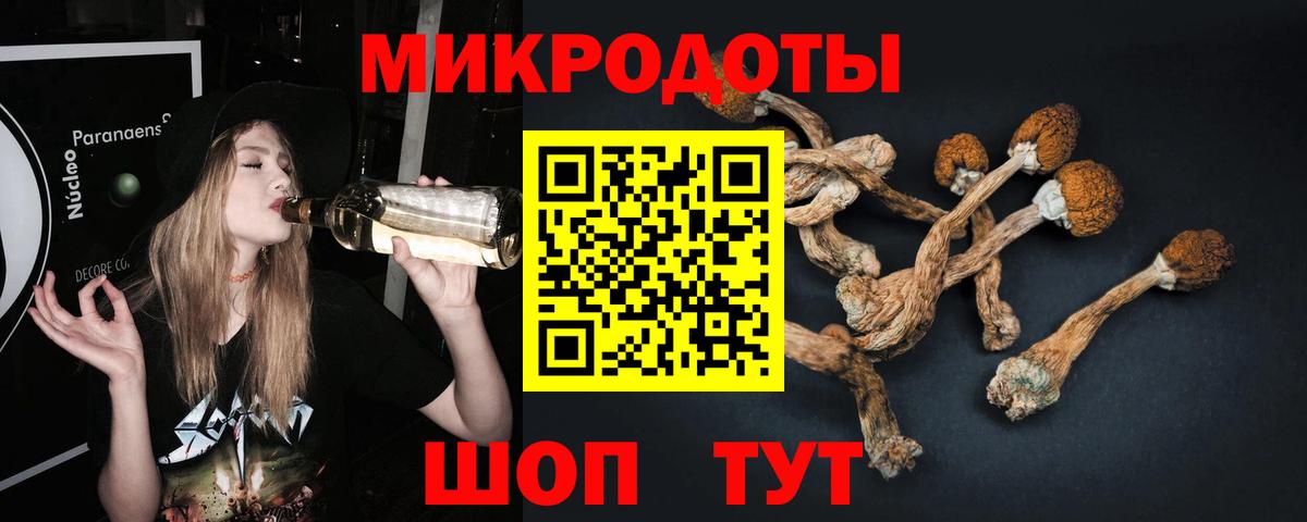 Славянск-на-Кубани  Псилоцибиновые грибы Psilocybine cubensis  Галлюциногенные грибы мицелий  купить наркоту  Вход с VPN 